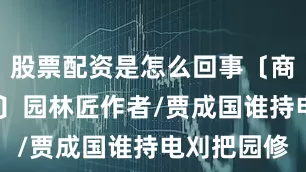 股票配资是怎么回事〔商调·凉亭乐〕园林匠作者/贾成国谁持电刈把园修