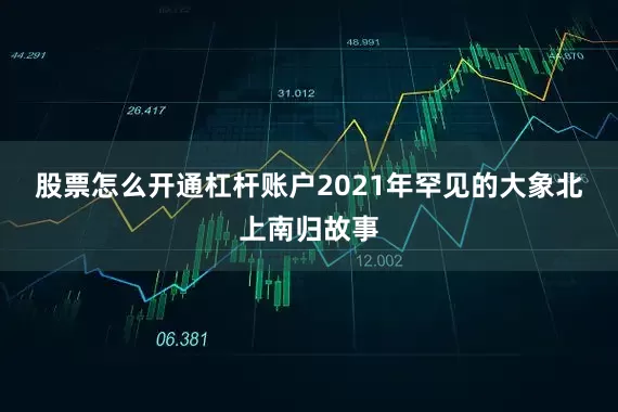 股票怎么开通杠杆账户　　2021年罕见的大象北上南归故事