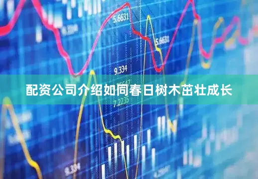 配资公司介绍如同春日树木茁壮成长