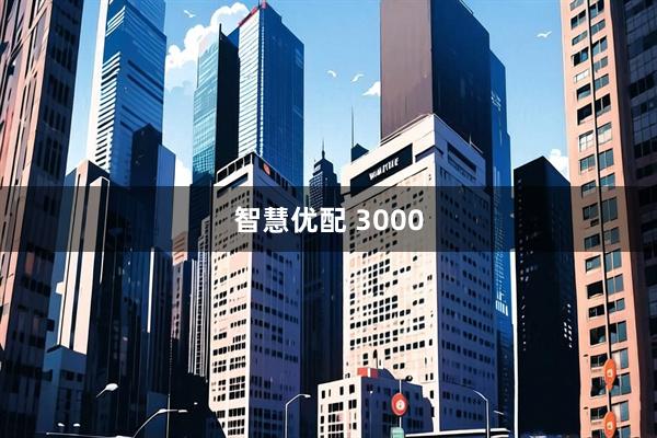 智慧优配 3000