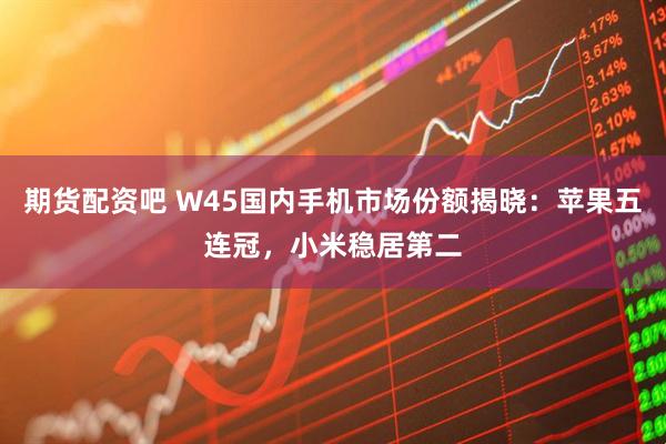 期货配资吧 W45国内手机市场份额揭晓：苹果五连冠，小米稳居第二